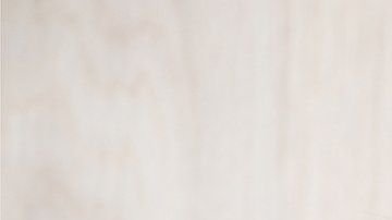 La pandemia está haciendo que las ratas cambien de comportamiento.