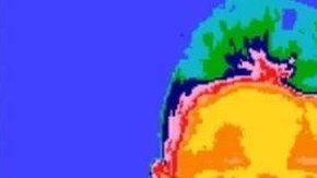 Termografía que muestra como, cuando mentimos, la temperatura de la nariz cambia.