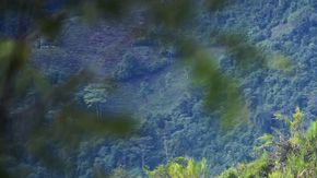 Se destapan más escándalos en el ejército.