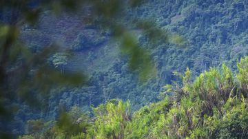 Se destapan más escándalos en el ejército.