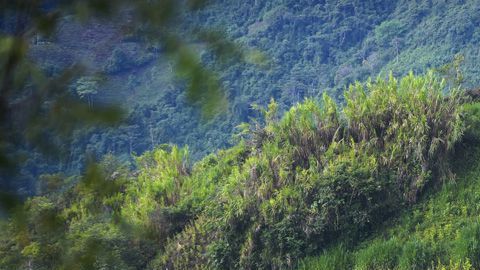 Se destapan más escándalos en el ejército.