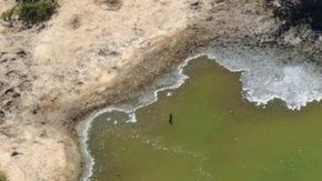 113188669_8593297b-6eca-40e7-8d05-59e3eb818152