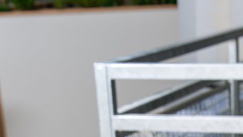 113219719_2020_01_29_irma_headshots_88-edit-1