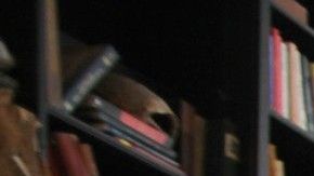 113230257_matjames2014getty_1920