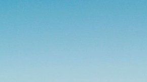 113325582_41d3d899-9c0e-450b-927e-6e0ac61c79a4