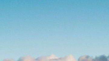 113325582_41d3d899-9c0e-450b-927e-6e0ac61c79a4