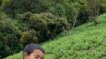 Los Gaona no podían vivir del campo antes de su exitoso canal porque no era rentable.