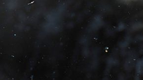 Estas criaturas son muy difíciles de fotografiar.