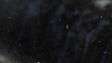 Estas criaturas son muy difíciles de fotografiar.