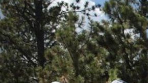 113569091_62afc224-0fc5-4e7f-9510-55f06db91aad