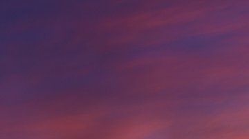 Científicos reportaron por primera vez la existencia de bacterias en el cielo en un par de estudios pioneros publicados en 2013 y 2018.