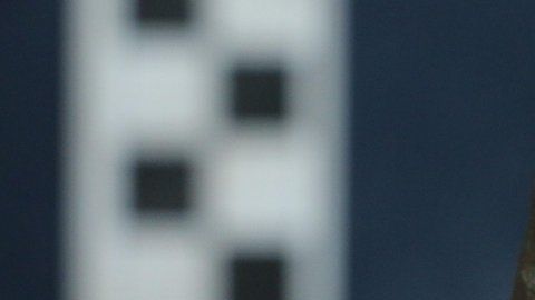 113577076_image20one