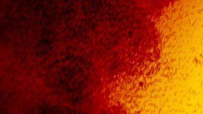 Muchos laboratorios han elegido una proteína que se encuentra en la corona de virus como blanco para neutralizar sus efectos.