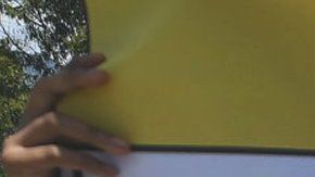 113746650_f276b17a-d54e-4534-9ca4-1d724e585699