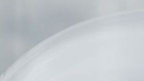 113752689_whatsubject