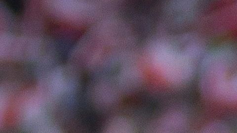 'Chofis' López en el partido de liga ante Jaguares de Chiapas.