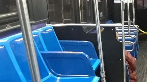 Buses vacíos en el pico de la pandemia