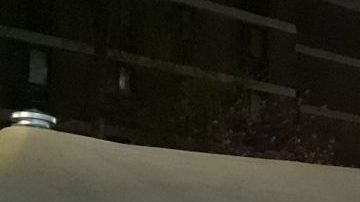 Por toda la ciudad se instalaron morgues temporales