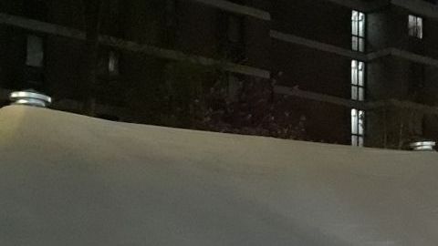 Por toda la ciudad se instalaron morgues temporales