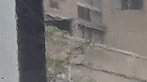 Las mascarillas no son suficientes para los sindicatos