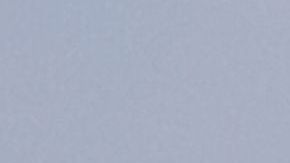 NYPD también descartó la intervención de Trump