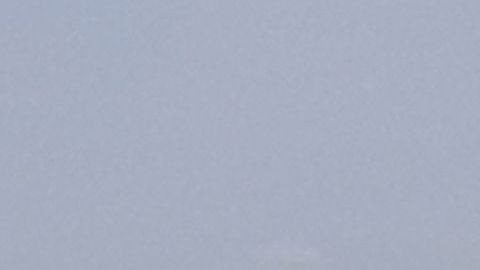 NYPD también descartó la intervención de Trump