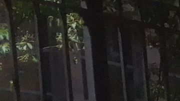 Hay muchos más candidatos de los que los votantes conocen