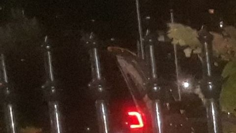 El campamento duró más de un mes