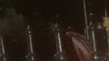 Campamento anti policial frente a Alcaldía de NYC