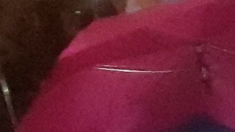 Campamento anti NYPD en la Alcaldía este verano