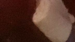 Protestas contra NYPD en la Alcaldía