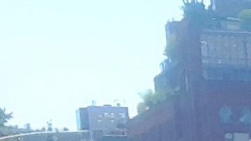 Reglas estrictas para evitar el regreso del virus