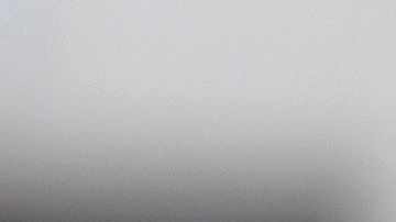 No parece que la mutación del virus haga cambiar su virulencia.