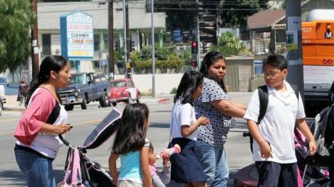 IMMIGRANT POPULATION Latinos Hispanic