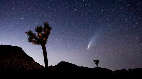 El cometa NEOWISE sobre Joshua Tree National Park, California.