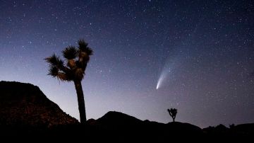 El cometa NEOWISE sobre Joshua Tree National Park, California.