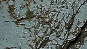 Un hombre en Quito camina frente a un letrero que pide permanecer en casa.