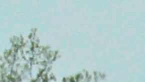 En Long Island, NY, también se reabrieron las playas y algunas lucieron con poca distancia entre las personas. / FOTO: EFE