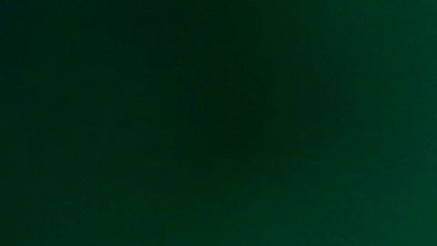 El presidente Donald Trump.