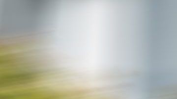 Telluride Nightfall Edition Black. 
Crédito: Cortesía Kia.