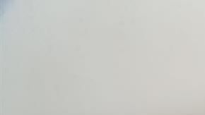 La nieve alcanzó las 11.8 pulgadas de espesor.