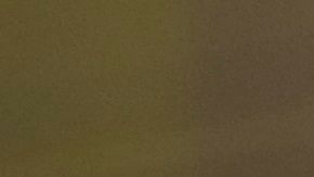 Este 4 de julio una marcha reclamó justicia para Guillén.