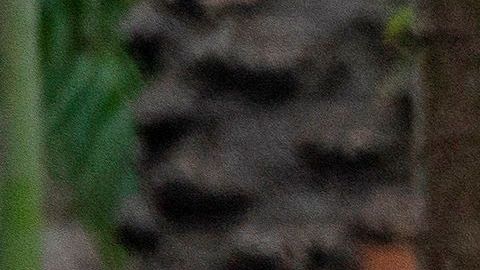 El aumento está siendo especialmente acusado en estados como Florida.