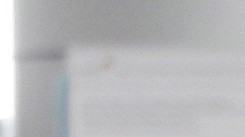 El país llevaba 99 días sin casos positivos.