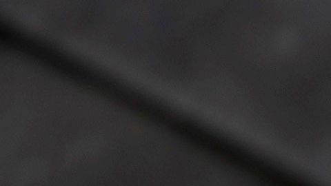 Para ella, era más que un simple árbol.