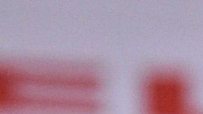 Eric Dier tuvo un altercado en la tribuna en marzo pasado.