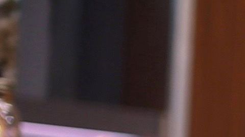 En la imagen aparecen: Lili Estefan, Raúl de Molina y Clarissa Molina en El Gordo y la Flaca.