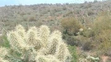Bertha Esteban sufrió un paro cardíaco cuando le estaban practicando la cesárea.