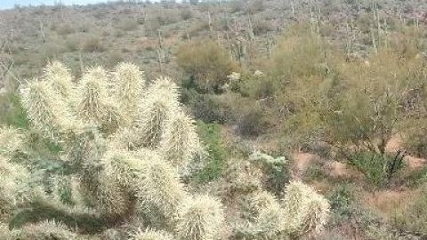 Bertha Esteban sufrió un paro cardíaco cuando le estaban practicando la cesárea.