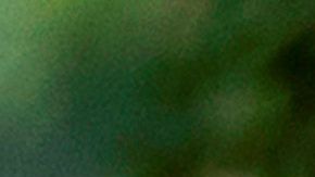 Las pruebas para COVID-19 se han hecho más accesibles en los últimos meses.